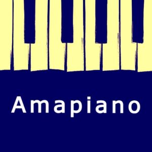 Read more about the article Types Of Amapiano